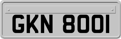 GKN8001