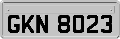 GKN8023