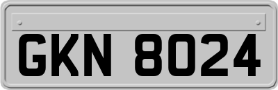 GKN8024