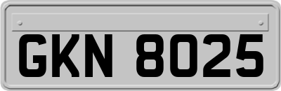 GKN8025