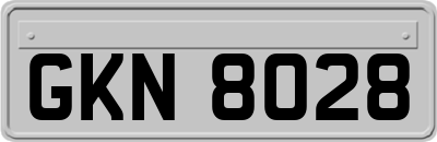 GKN8028