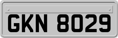 GKN8029