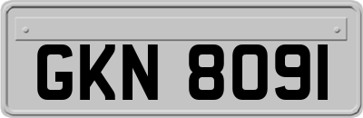 GKN8091