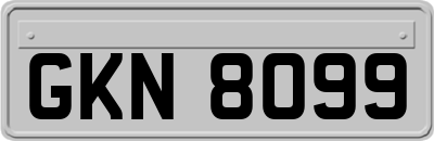 GKN8099