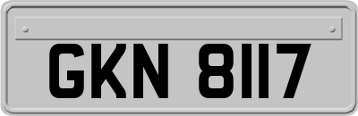 GKN8117