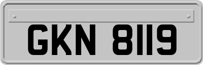 GKN8119