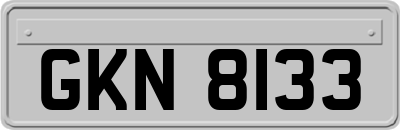 GKN8133