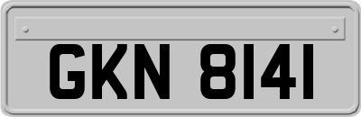 GKN8141