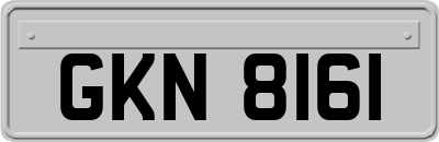 GKN8161