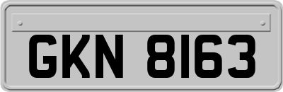 GKN8163