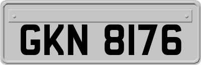 GKN8176