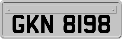 GKN8198