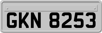 GKN8253