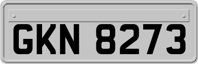 GKN8273