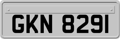 GKN8291