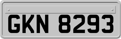 GKN8293