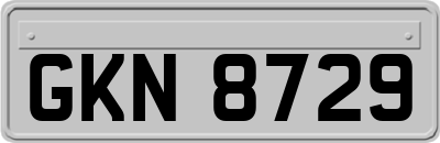 GKN8729
