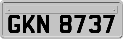 GKN8737