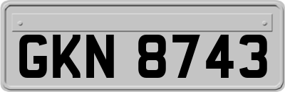 GKN8743