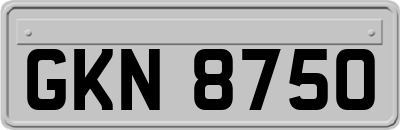 GKN8750