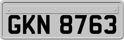GKN8763