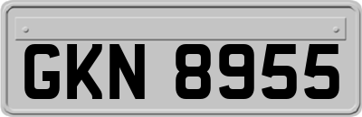 GKN8955