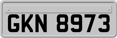 GKN8973