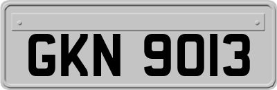 GKN9013