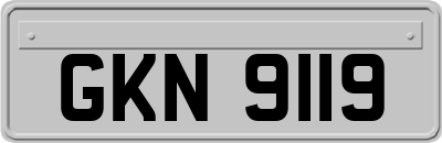 GKN9119