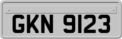 GKN9123