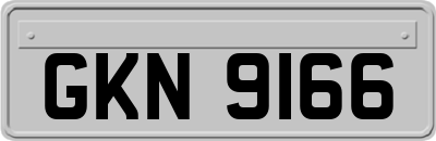 GKN9166