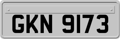 GKN9173