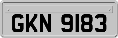 GKN9183