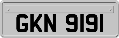 GKN9191