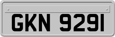 GKN9291