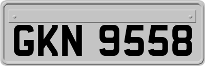 GKN9558