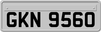 GKN9560