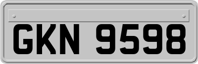 GKN9598