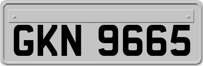 GKN9665