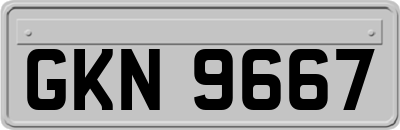 GKN9667