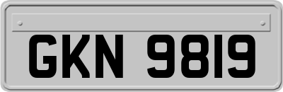 GKN9819