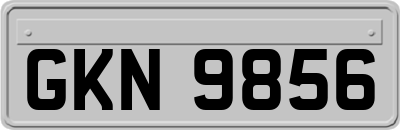 GKN9856