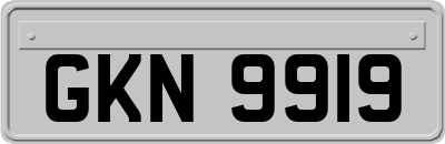 GKN9919