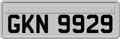 GKN9929
