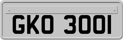 GKO3001