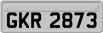 GKR2873