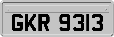 GKR9313