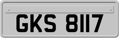 GKS8117