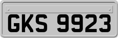 GKS9923