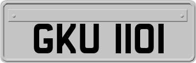 GKU1101